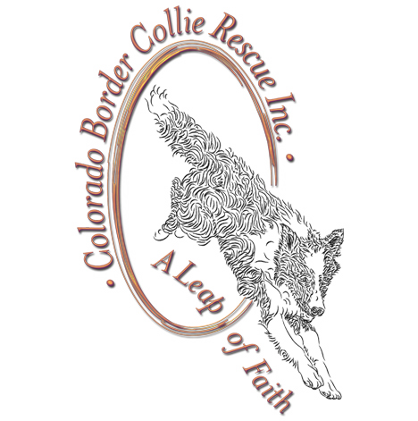 Colorado Border Collie Rescue Logo
