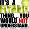 flybstitsaflyballthing.jpg