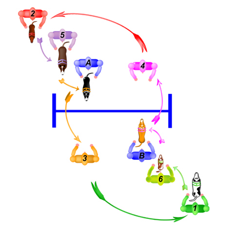 Flyball Passing Exercise