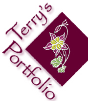 Terry's Portfolio Banner